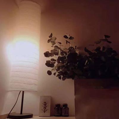 Příslušenství pro osvětlení – Stínidla pro lampy a lustry