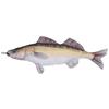 Dulton Fishes Zander 75 Fish Cushion for Everyday Life Large Body Pillow Marine Life Nordic Lucioperca FISHES Total Length 75cm Gös/Zander/Sander