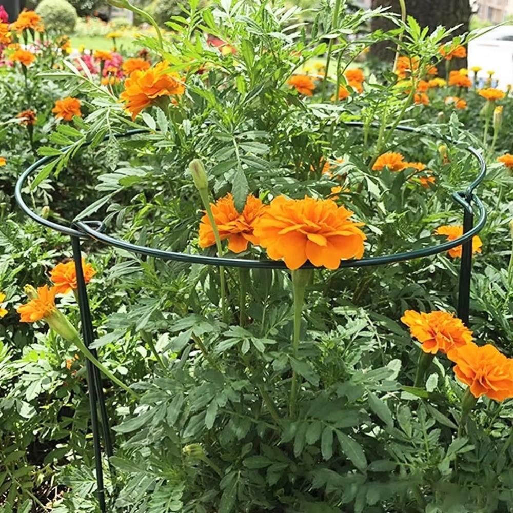 2PCS Half-Ring Plant Support Stakes U-Shaped Plant Pot Frame Plant Climbing Trellis  Garden
