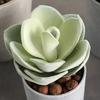 6.3in Plastic Artificial Succulent Plant Green Pink Faux Succulent Plant Small Bonsai Home Office Desktop Decoration