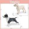 Realistic Plastic Animal Model Collection Featuring Brindle Bull Terrier And Dogo Argentino For Educational Purposes