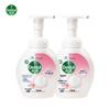 Floral Scent Foam Hand Wash (2-Pack)