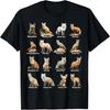 Renards du Monde Animaux Renards Design Éducatif T-Shirt