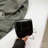 French Niche Fashion Explosion Mini Chain Small Bag Women's 2025 New Trendy Temperament Single Shoulder Crossbody Small Square Bag