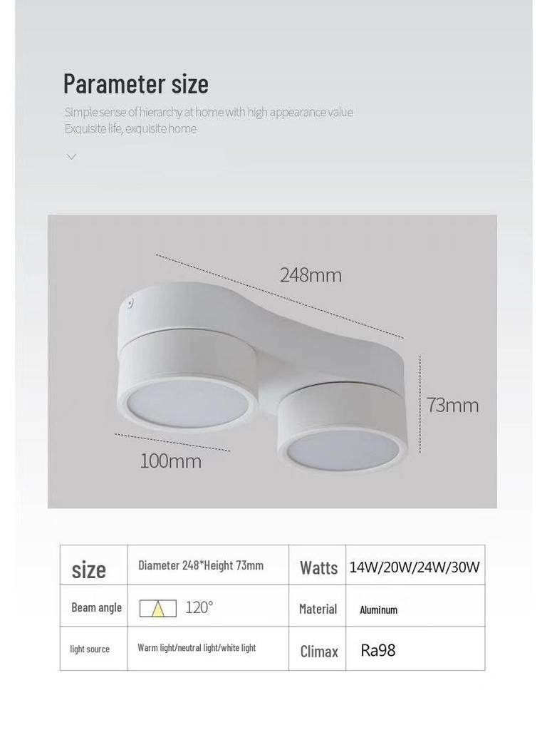 Adjustable LED Double-Head Smart Ceiling Spotlight for Living Room and Aisle