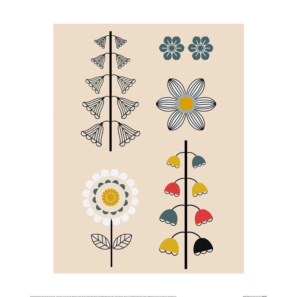 Lyndy Hants papírový tisk smíšených květin II