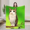 Stairway to Heaven Cat Throw Blanket Warm Graphic Blankets For Couch Chair Travel Car Flannel Bedspread Bed Cover