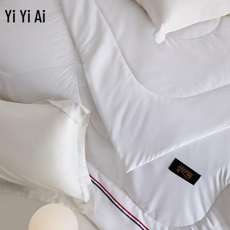 Yiyi Ai Classic Brushed Microfiber Quilt