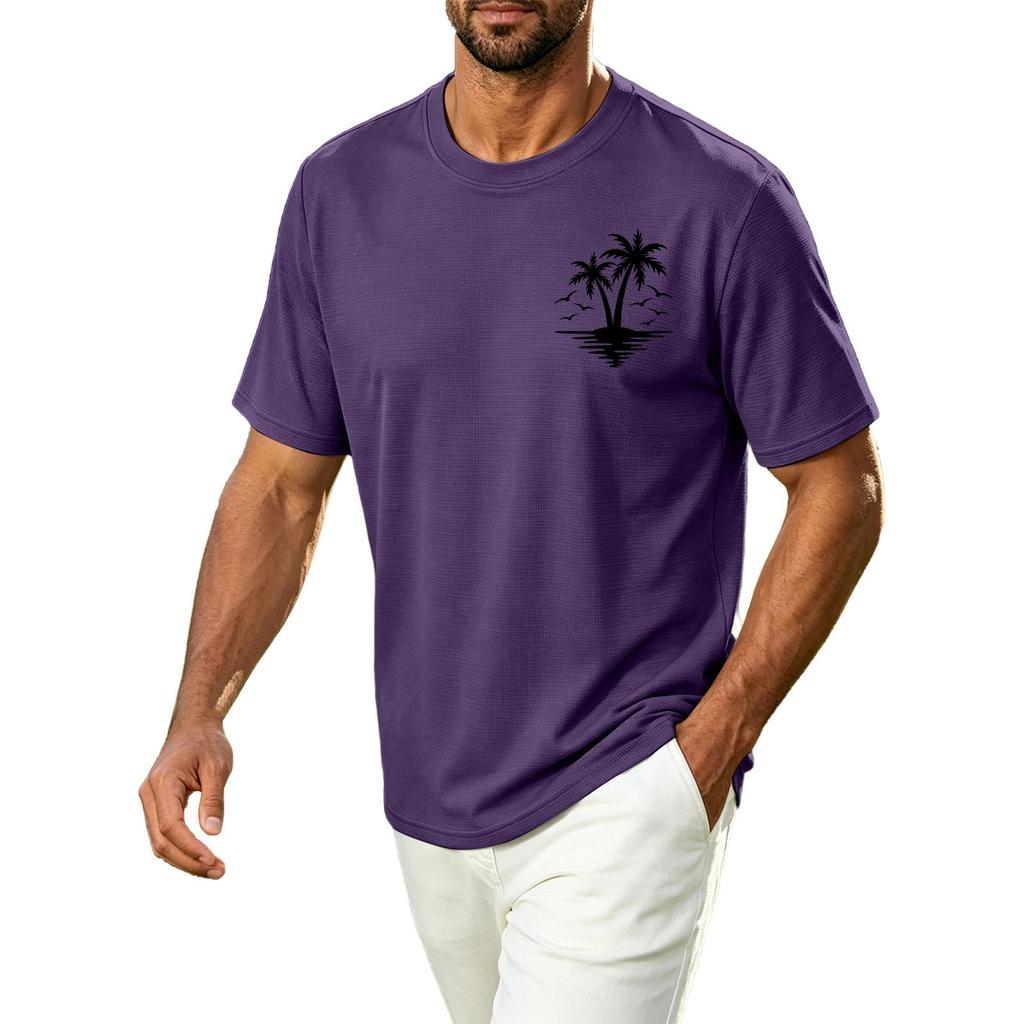Men's Hawaiian Print Casual Crew Neck T Shirt Breathable Quick Dry Sports Short Sleeve Tee Lightweight Summer Shirt