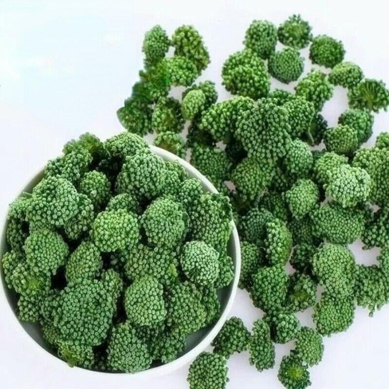Tè alle erbe naturale di fiori di Notoginseng ecologico di prima qualità Tè alle erbe cinesi Sanqi 250g