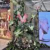 Big Butterfly Artificial Paper Flower Paper Layout Butterfly Window Display Props  Photo Props