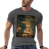 Prythian Map Tshirt T Shirt Personalised Funny T Shirts Cotton Unisex T Shirt Designer Tshirt