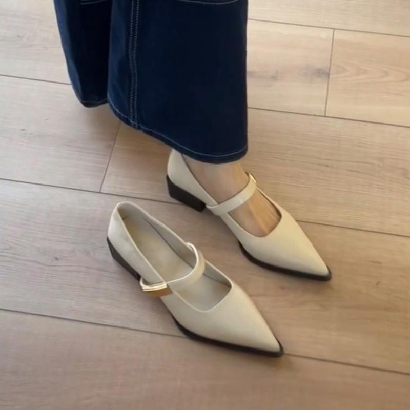 Retro Beautiful  Pumps Low Heeled Pointed Women Single Shoes Shallow Mouth Metal Buckle Pumps Banquet Thick Heel Work Shoes