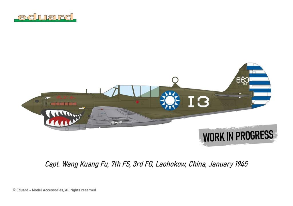 Eduard Dual Combo Royal Class Warhawk Plastic Model Kit EDUR0025 1/48 P-40N (Airplane)