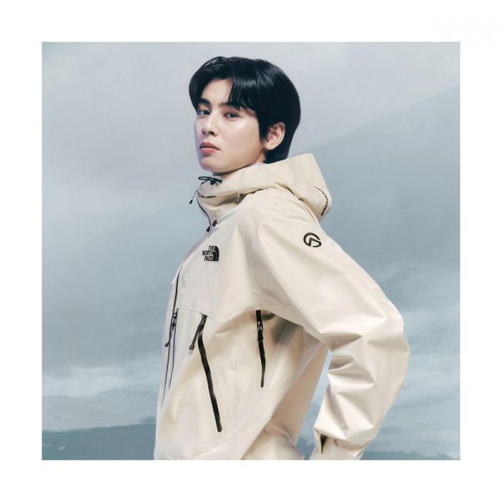 

North Face Store Genuine North Face The North Face Nj2gq03b Felix Gore Tex Jacket 1797494 CREAM/90