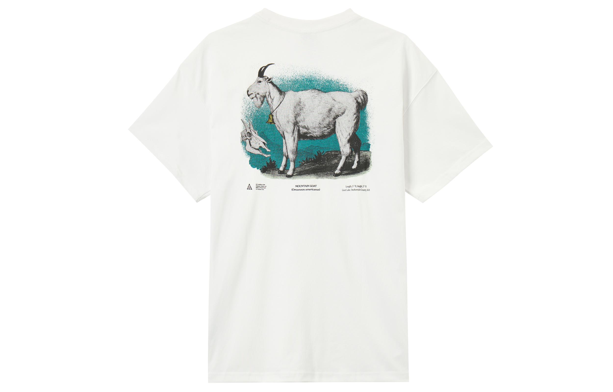 Nike ACG T Shirt Men`s Mountain