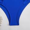 2025 Solid Color Two-Piece Bikini European & American Style