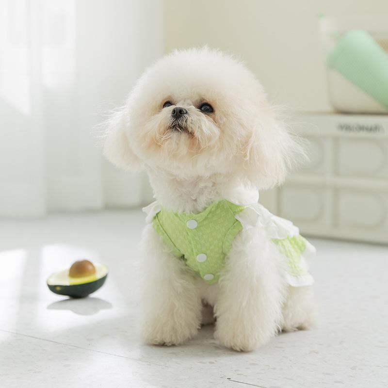 

25 years old new spring and summer dog skirt thin breathable traction princess style teddy dress pet clothes XS (recommended weight 1-1.5 kg) зелений