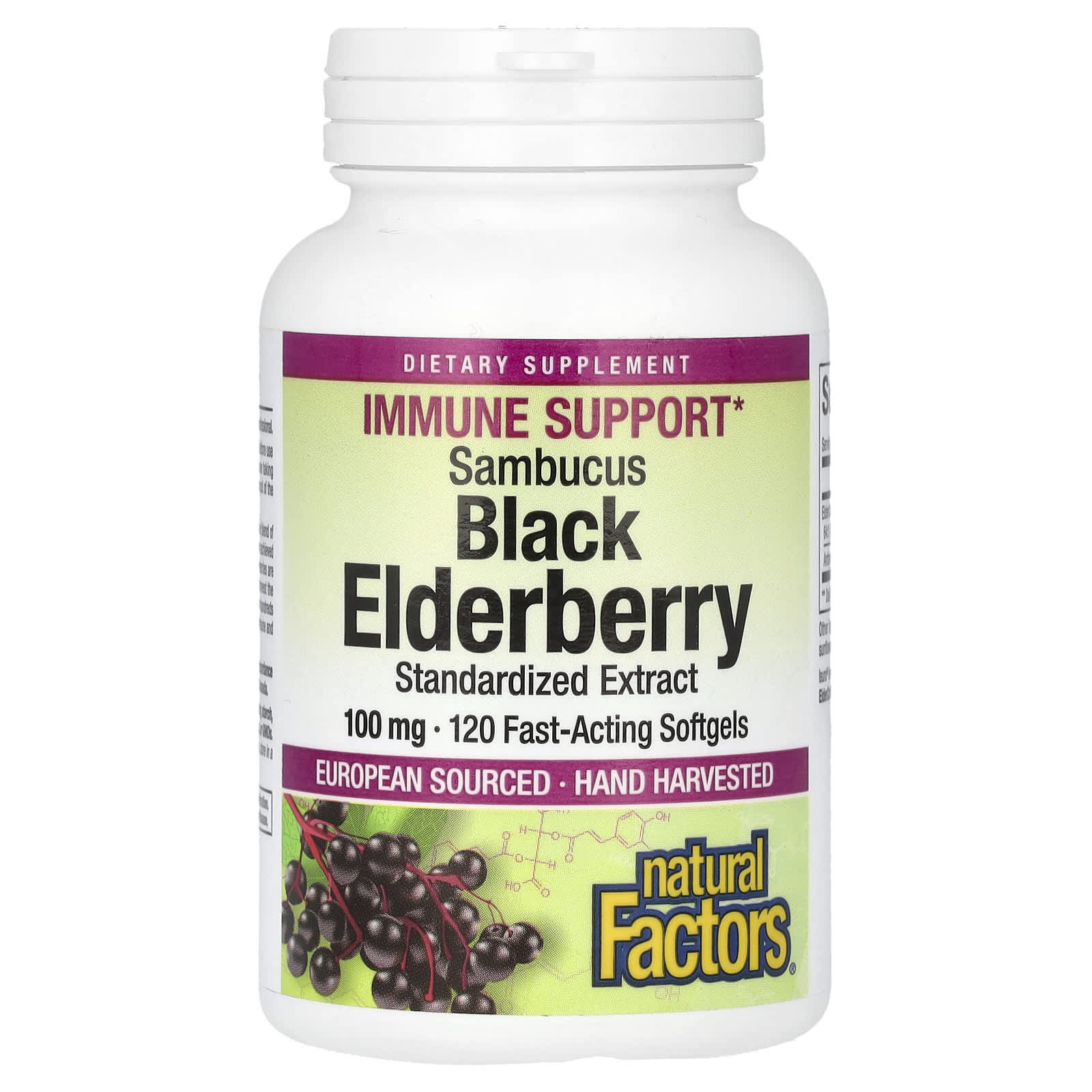 

Sambucus Black Elderberry, 100Mg, 120 Fast-Acting Softgels