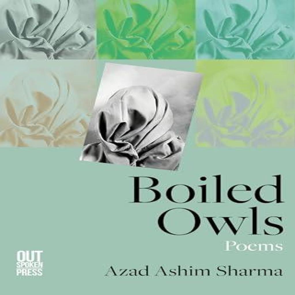 Boiled Owls by Azad Ashim Sharma Paperback Book 9781738412594