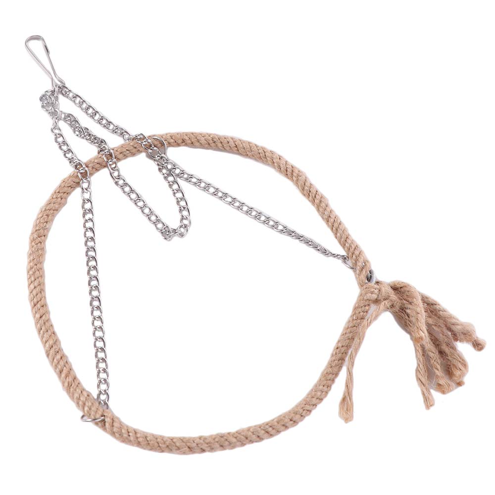 Bite Resistant Bird Rope Ring Swing Toys Metal Parrit Swing Stand Bird Hammock Perch  Home