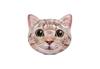 INTEX Cat Island Float Mat, 147 X 135 Cm, 58784 [Official Japanese Product]