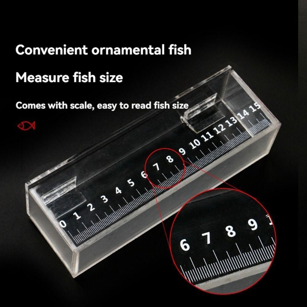 Transparent Fish Viewing Box Mini Micro Landscape Acrylic Fish Tank with Lid and Scale Dustproof Desktop Goldfish Bowl Crickets