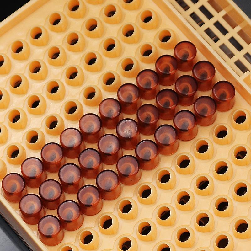 Beekeeping  Queen Rearing Cell Cup Box Kit Plastic Honeycombs Queen Cage Isolation Apiculture Equipment Accessories
