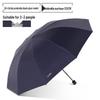 Paradise Umbrella Windproof Water-Repellent Folding Umbrella
