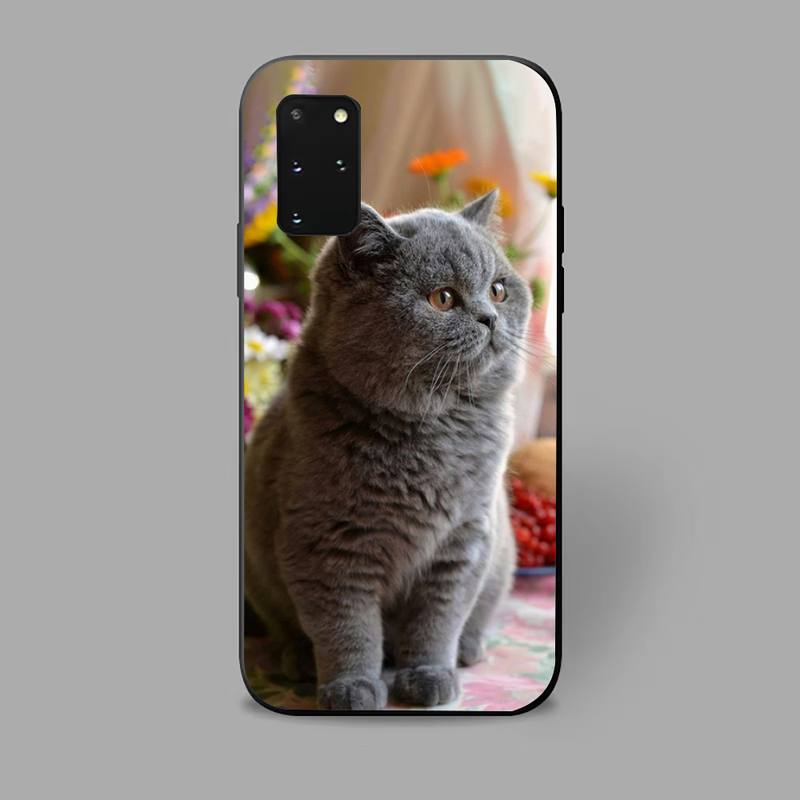 Gray Cat Phone Case For iPhone Samsung Galaxy Redmi Xiaomi Oppo OnePlus Note S A 7 8 9 10 11 12 13 14 20 21 22 23 53 54 Pro Max Plus Ultra TPU Soft