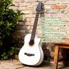 Acogedor Maple Electric Guitar Neck 24 Fret Rosewood Fretboard Replacement Smooth Finish Music Enthusiasts