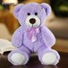 Rainbow Bow Tie Teddy Bear Plush Doll - 35cm Soft Festival Cushion