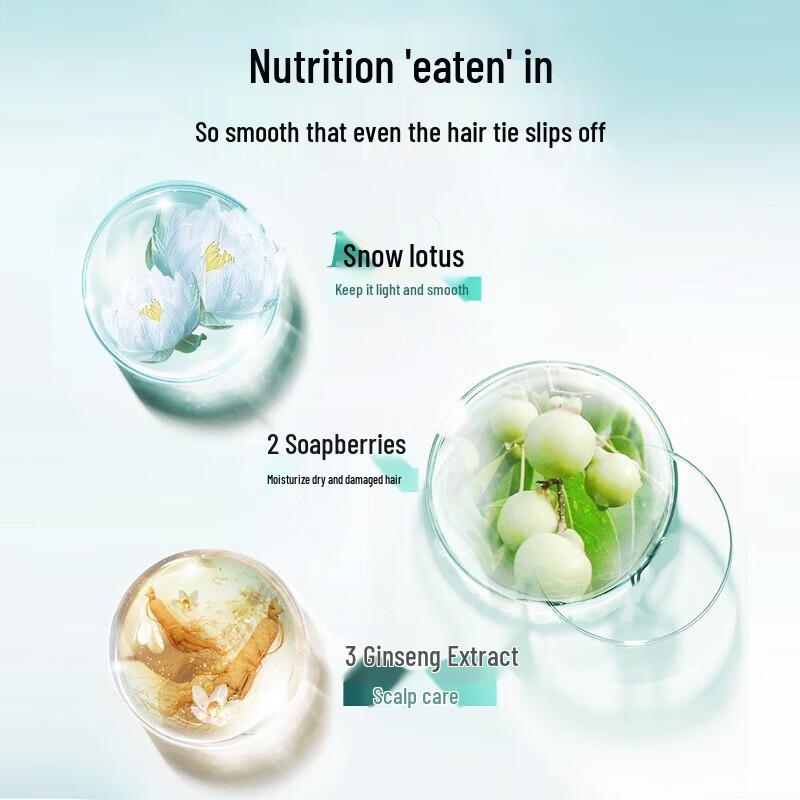 Ziyuan Amino Acid Sapindus Cleansing Shampoo