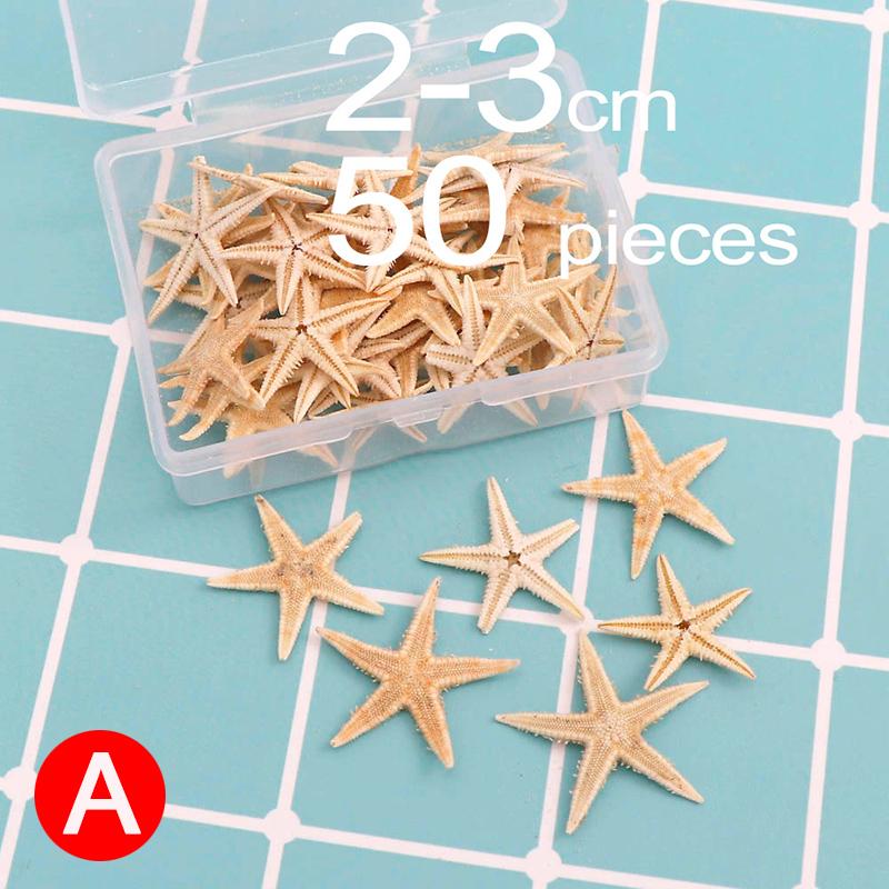 100pcs Natural Starfish Seas Beach Craft Diy Wedding Home Decor At Affordable S Free Shipping Real Reviews With Photos Joom - Starfish Home Decor 100pcs Natural Starfish Seas Beach Craft Diy Wedding Home Decor At Affordable S Free Shipping Real Reviews With Photos Joom - Starfish Home Decor