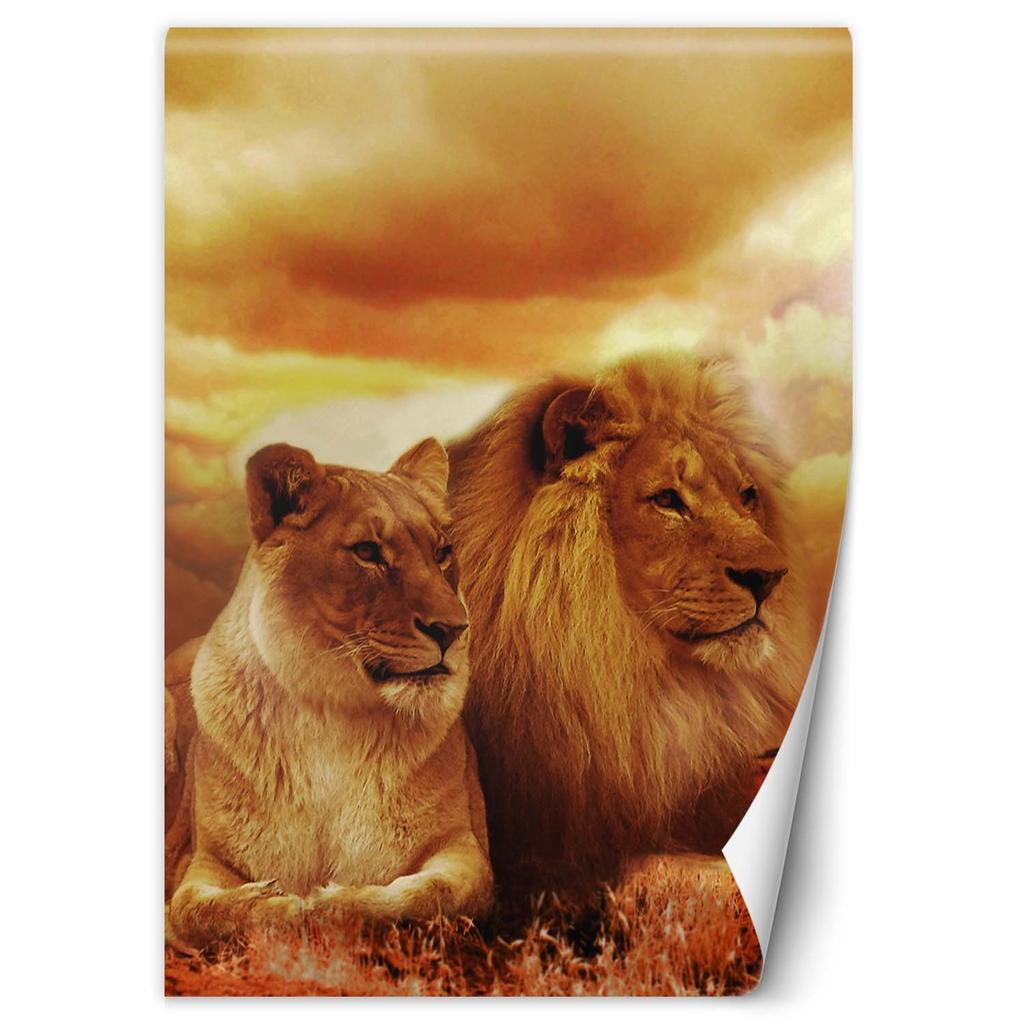 Wallpaper Cats Pair of Lions Animals