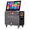 MALONE Portable Karaoke Video Speaker System (CN version)