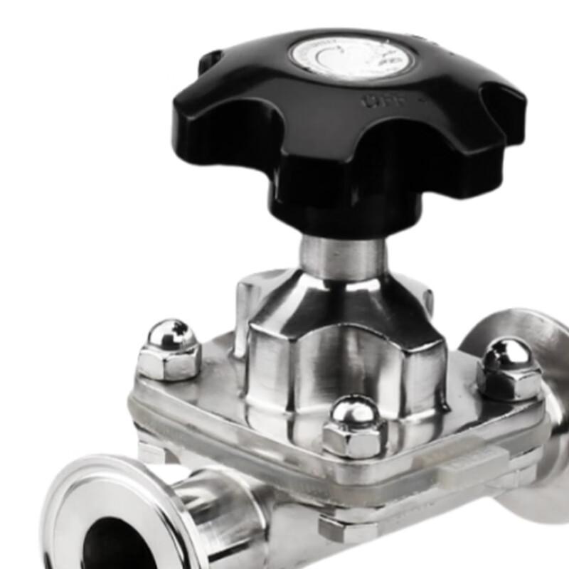 Jucheng 316L Stainless Steel Diaphragm Sampling Valve with Sampling Port