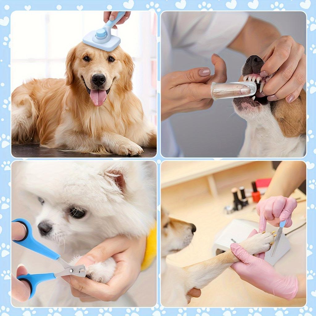 Pet Grooming Kit - 8 Piece Comb and Scissors Set for Dogs and Cats