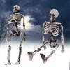 Mini Skeleton 15cm Realistic Decoration For Halloween Parties And Haunted Houses