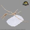 BANDAI SPIRITS "Jurassic World: Resurrection of the Planets" Planosaurus JURASSIC WORLD Quetzalcoatlus Pre-Colored Plastic Model