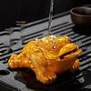Color-Changing Golden Money Toad Tea Pet