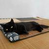 Cat Natural Cooling Mat Summer Pet Self Cooling Pad Cat Bed Mat For Dogs Indoor Rattan Weave Mat Sleeping Cat Bed