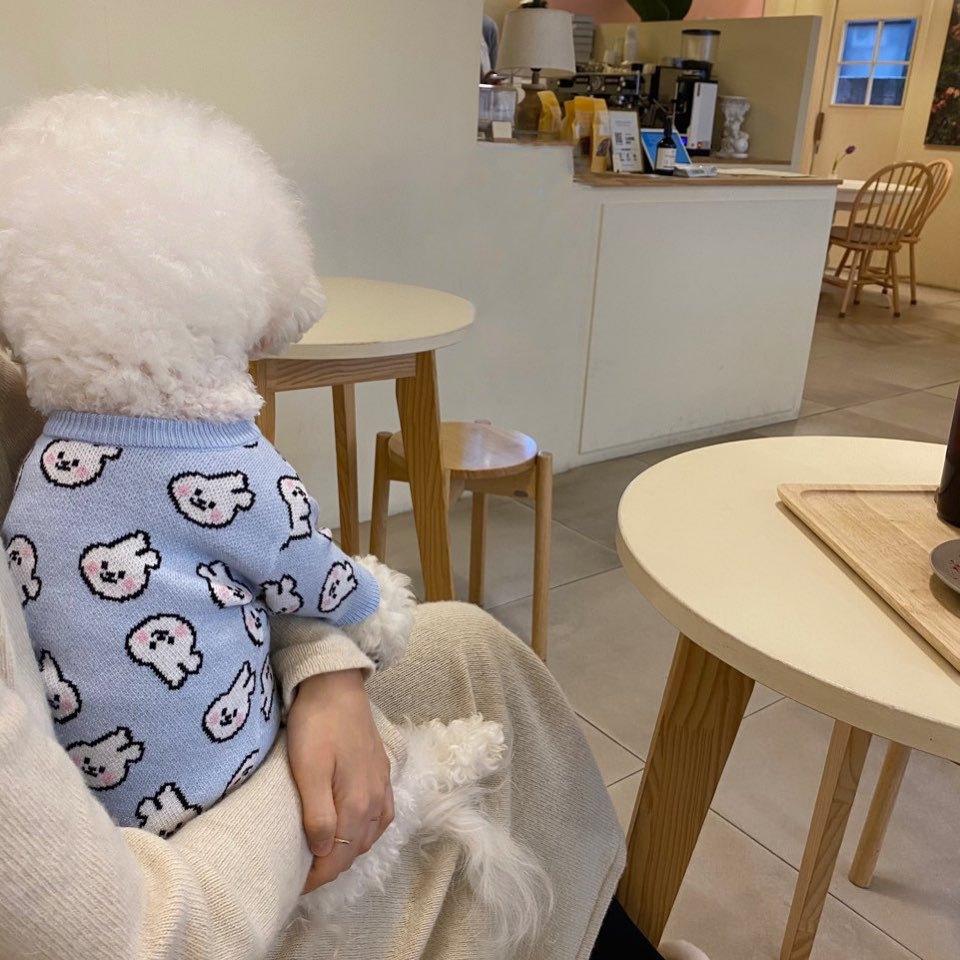 

Dog sweater autumn and winter full of rabbit, small and medium-sized dog Teddy Bigbear Pomeranian knitted sweater, cat pet clothes XS (recommended weight 1-1.5kg)