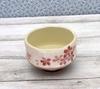 Craftsman House Matcha Bowl Small high x 10cm Made in Japan (Cherry Blossom), (6.5cm diameter),