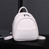 Simple new backpack niche design fashion leisure commuting versatile backpack shoulder bag women's bag