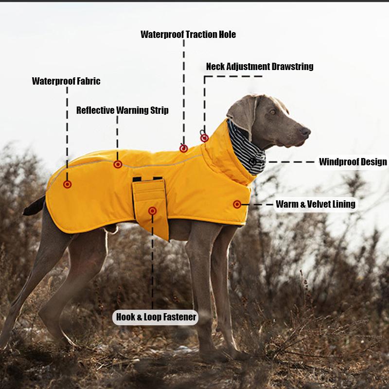Dog Outdoor Cold Proof Clothing Warm Double Neck Cape Dog Jacket For Medium to Large Dog Autumn Winter Windproof Coat