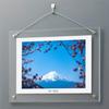 A4 Clear Acrylic Photo Transparent Photo Wall Mounted or Ideal for Displaying and Certificates Frame, Frame, Standing, Photos, Paintings, (210x297mm)