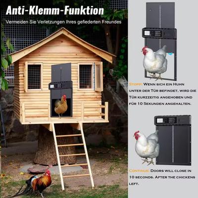 Puerta Automática de Aluminio para Gallinero con Temporizador de Pantalla Grande Impermeable Puerta Eléctrica para Gallinas Patos Protección Inteligente contra Atrapamientos