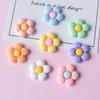 10 Pcs New Cute Cartoon Versatile Little Fresh Flower Series Resin Scrapbook Diy Jewelry Children Gift Hairpin Accessories A60