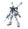 MG Mobile Suit Crossbone Gundam Crossbone Gundam Scale Plastic Model Kit X-1 Ver.Ka 1/100 Pre-colored